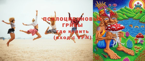 МДПВ Карпинск
