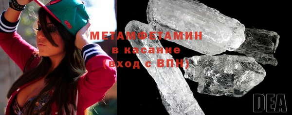 прущие грибы Усинск