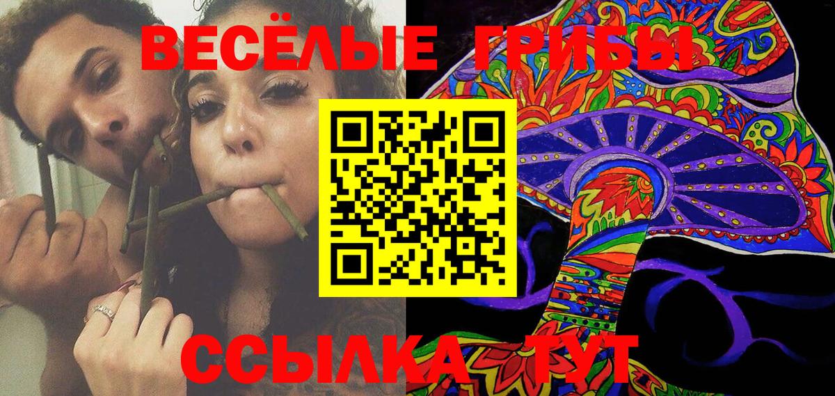 Галлюциногенные грибы Psilocybine cubensis Нижний Новгород