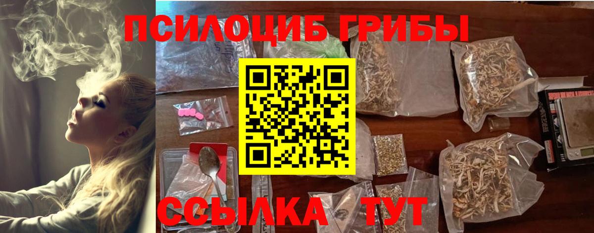 Галлюциногенные грибы MAGIC MUSHROOMS  Вход с VPN  Нижний Новгород 
